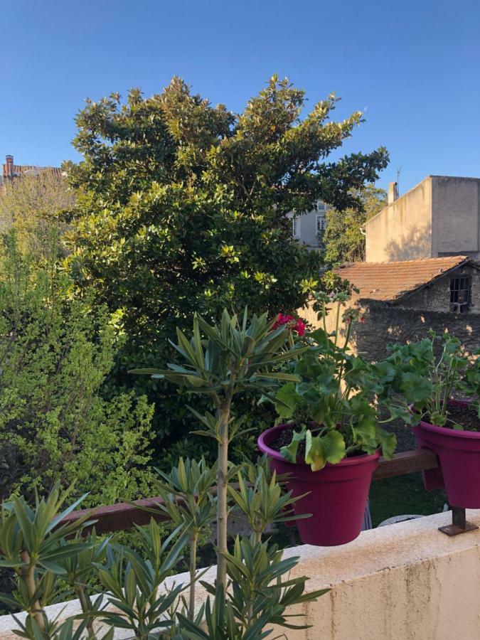 B&B - Le Jardin Du Palais Carcassone Kültér fotó